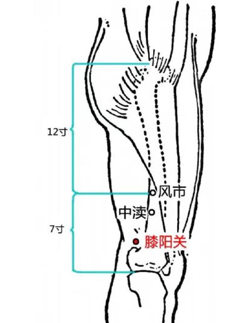 膝盖以下是什么穴位