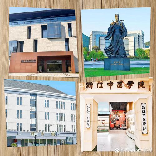 浙江中医药大学学工部