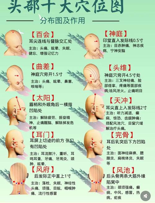 头部按摩顺序及穴位