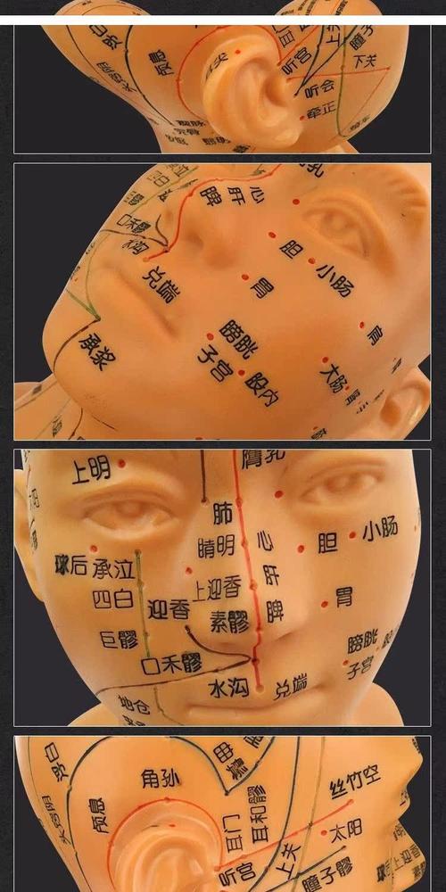 头部按摩顺序及穴位