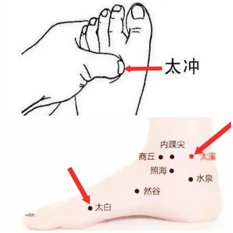 太冲穴位在什么位置
