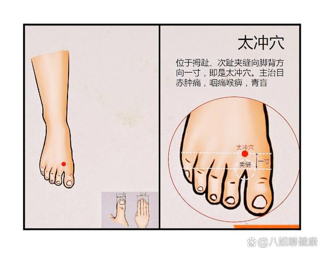 太冲穴位在什么位置