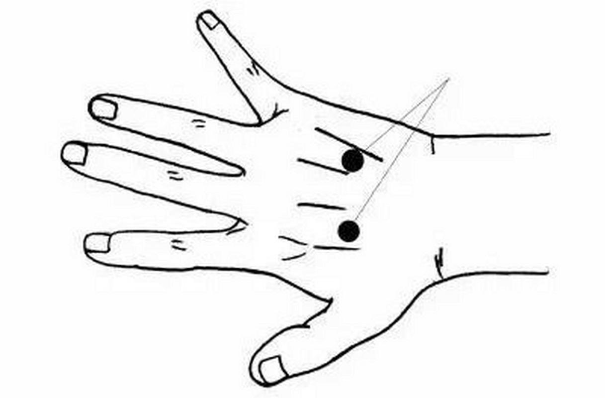 腰痛按手背哪个穴位