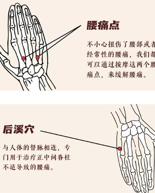 腰痛按手背哪个穴位