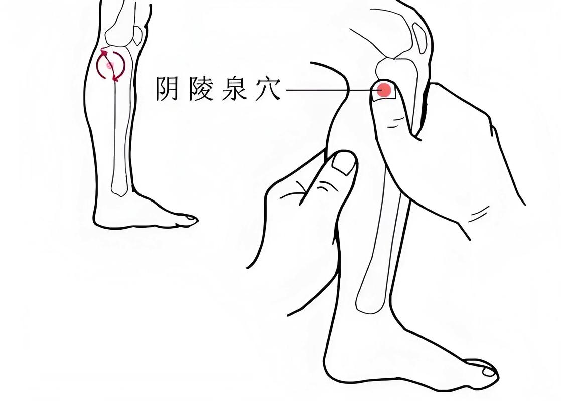 除湿按摩哪个穴位好