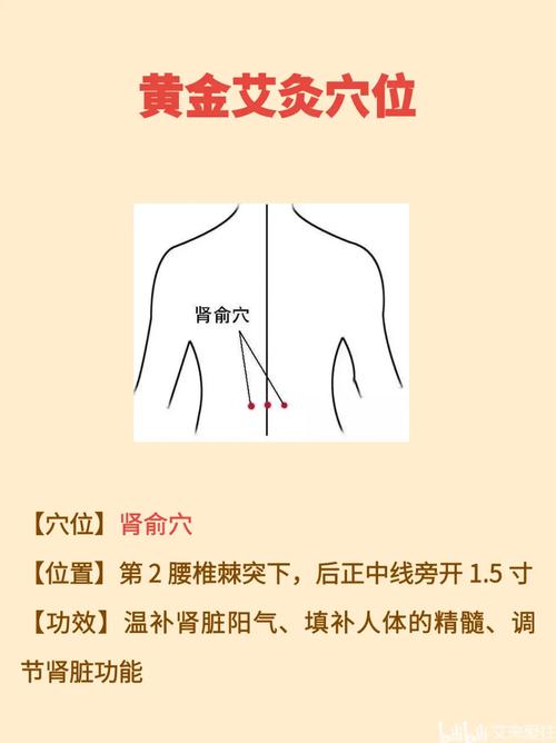 男人什么穴位能补肾