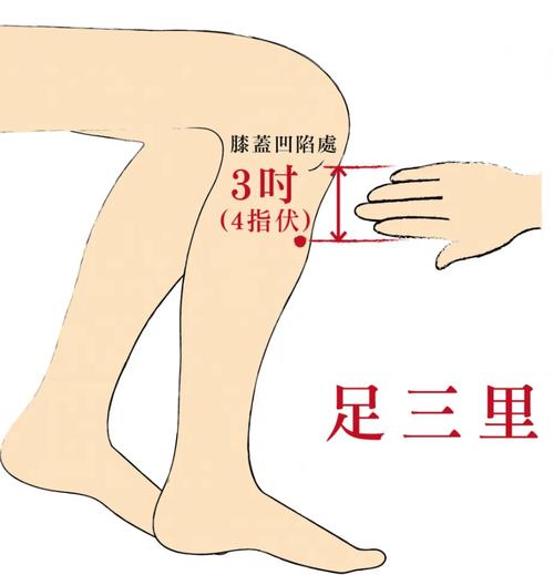 脾阳虚艾灸哪个穴位