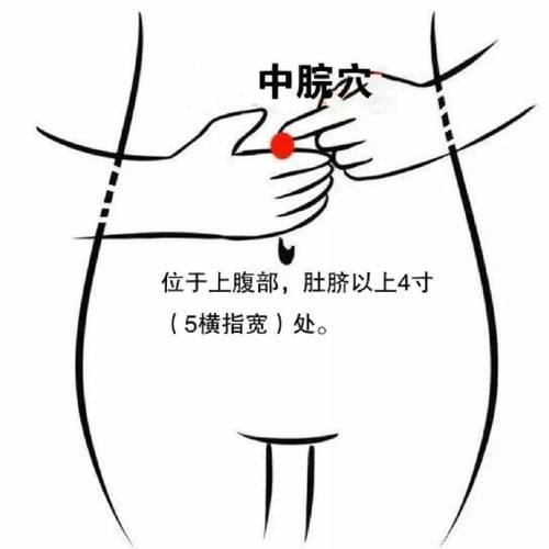 脾阳虚艾灸哪个穴位