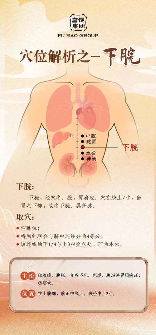 肚脐下方有哪些穴位