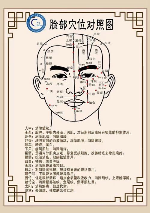 面部穴位按摩大全集