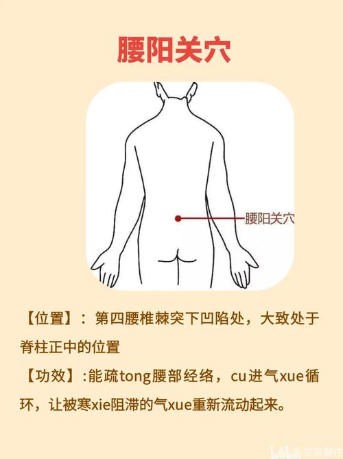 腰肌劳损治疗的穴位