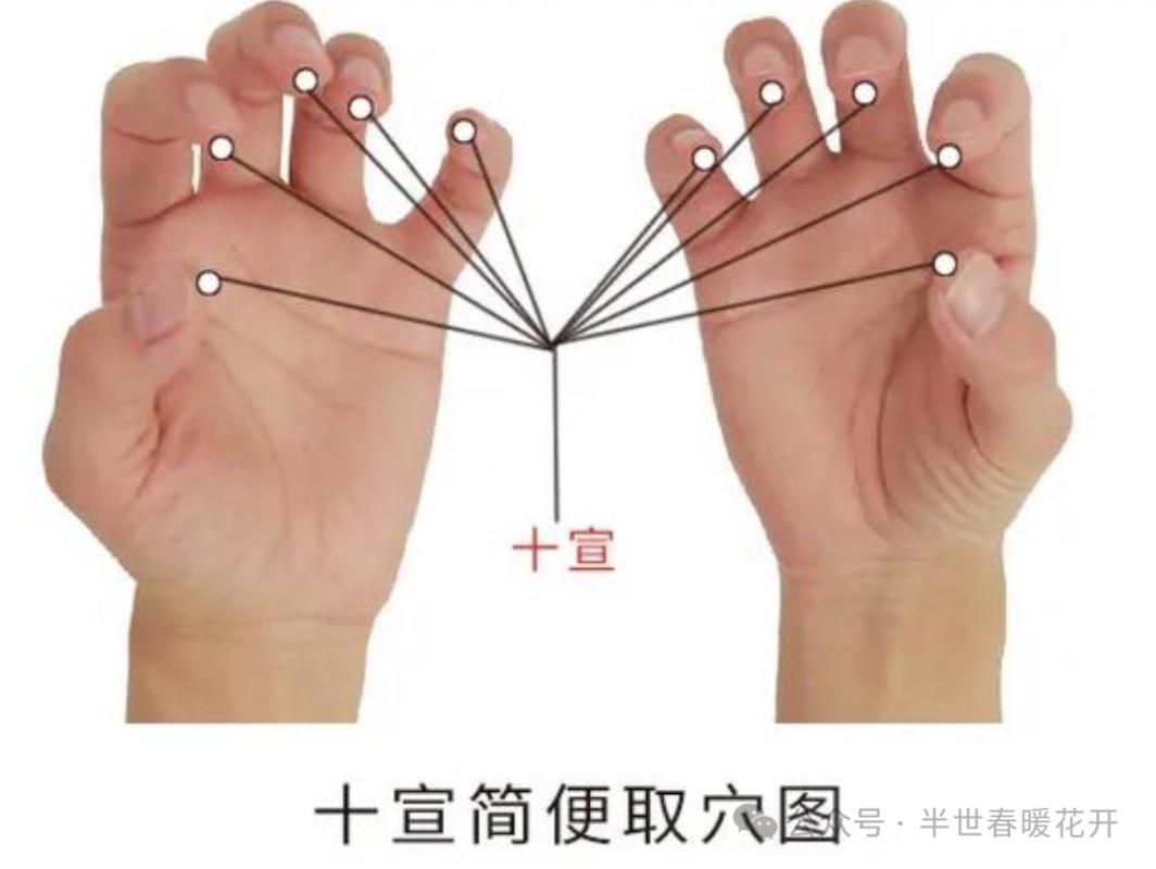 哪个穴位可以抗过敏