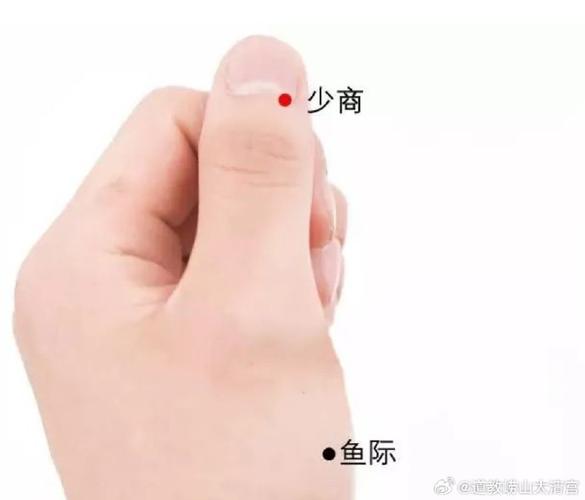 少商穴 太渊穴位置