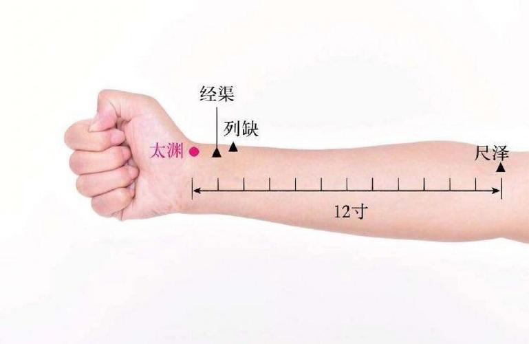 少商穴 太渊穴位置
