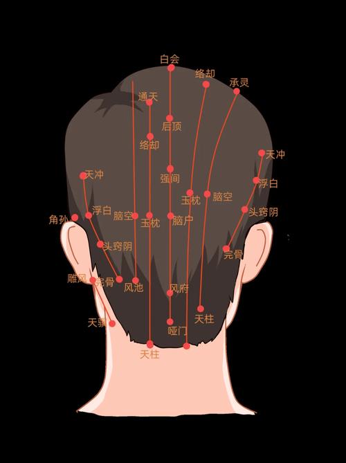 艾灸什么穴位治脱发