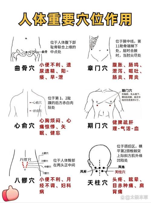 微电流 对人体穴位