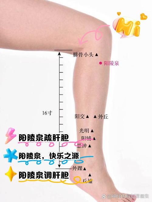 小脚趾外侧什么穴位