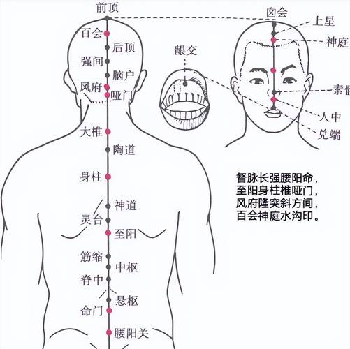 男人壮阳有哪些穴位