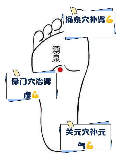 男人壮阳有哪些穴位