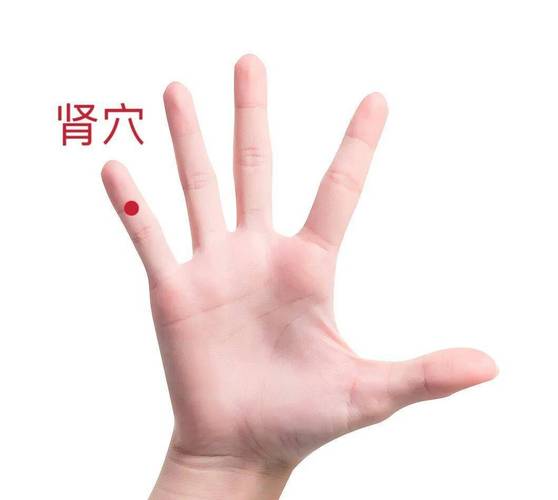 治身体无力特效穴位