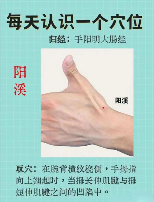 手腕疼按摩什么穴位