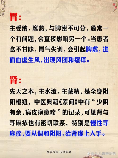 荨麻疹的中医分型治疗