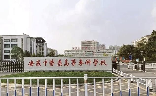 安徽蜀中医药有限公司