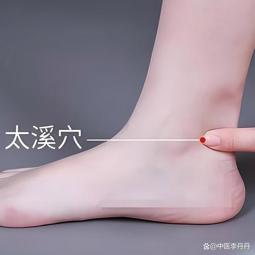 脚后跟中间什么穴位