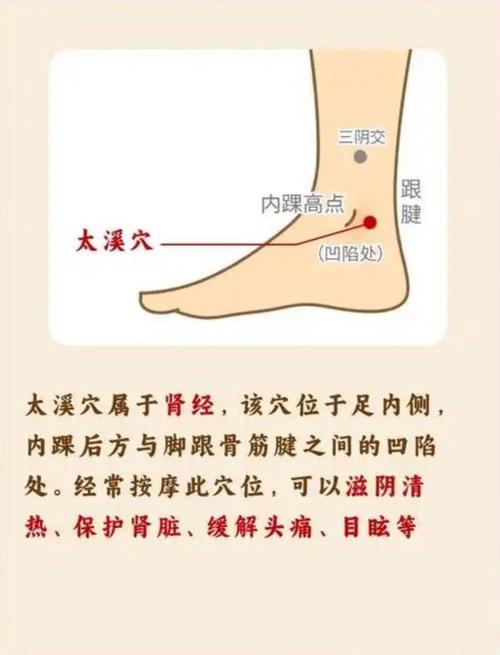 脚后跟中间什么穴位