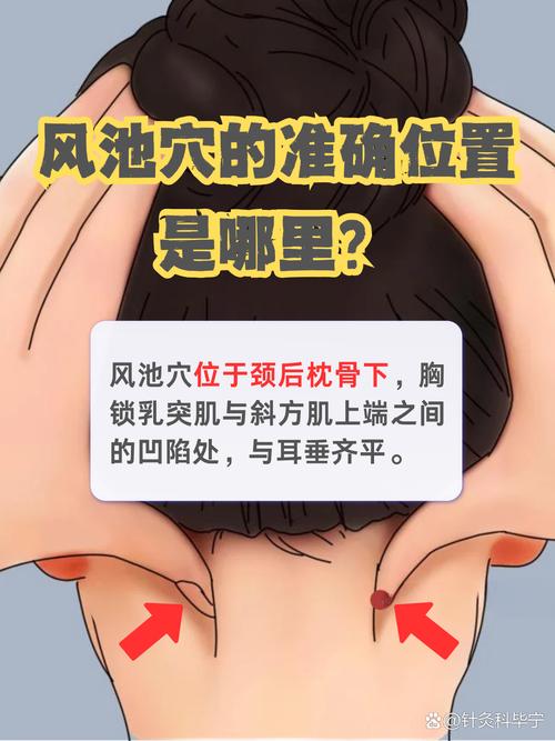 风池旁边是什么穴位