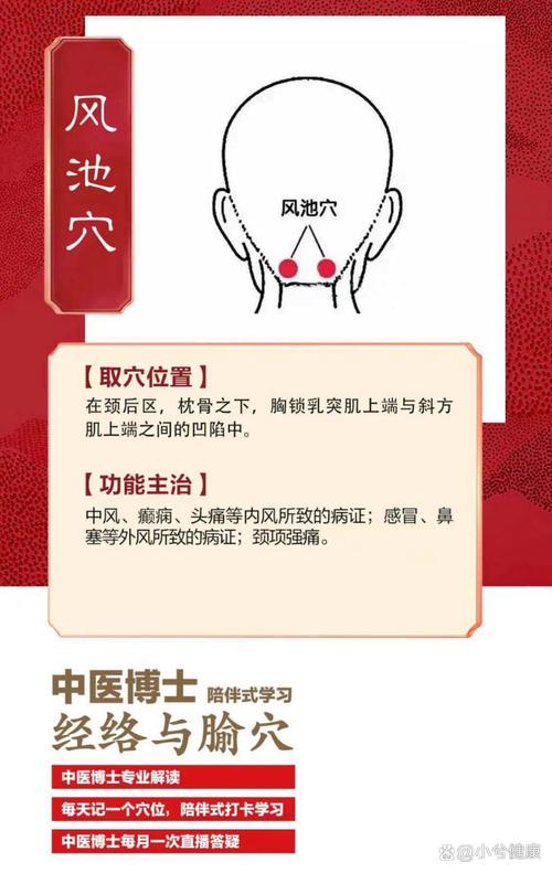 风池旁边是什么穴位