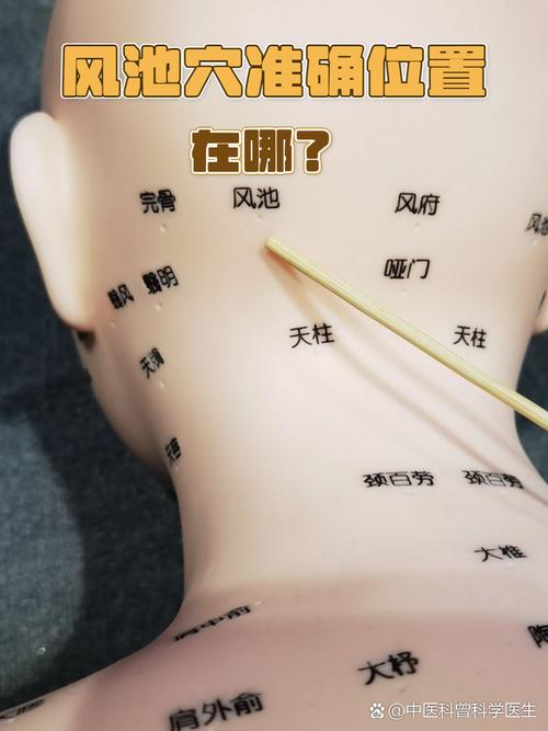 风池旁边是什么穴位