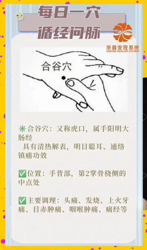针灸合谷穴位的作用