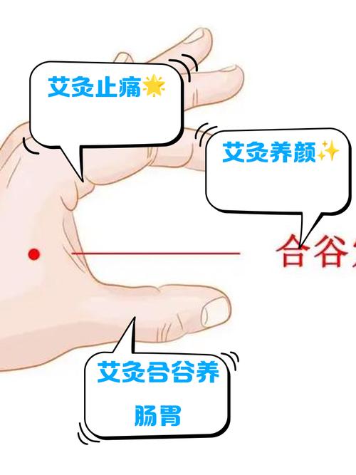 针灸合谷穴位的作用