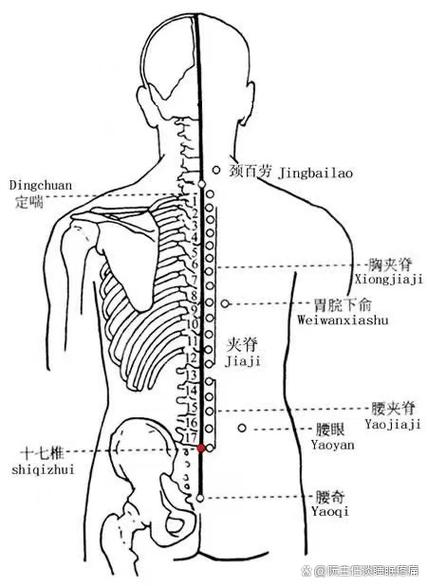 后背肩外俞穴位疼痛