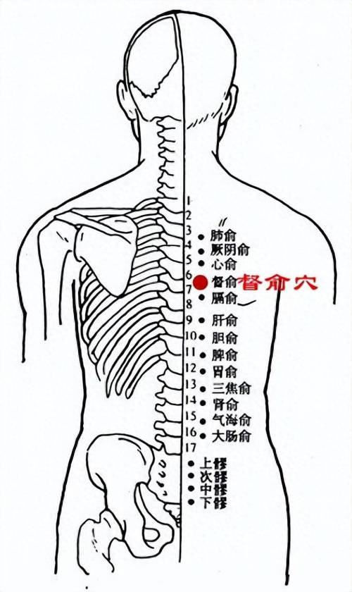 后背肩外俞穴位疼痛