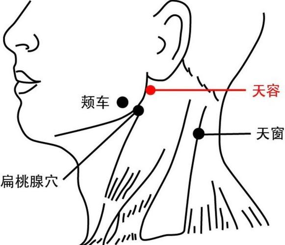 下颌角下面什么穴位