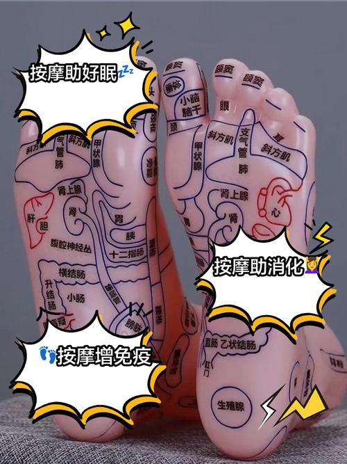 促进排便的脚底穴位