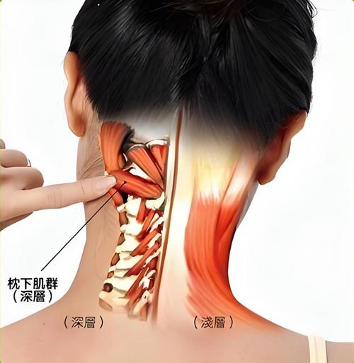 脖子的酸痛按摩穴位