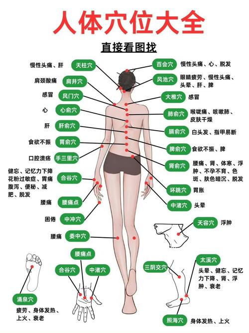 经常按摩的几个穴位