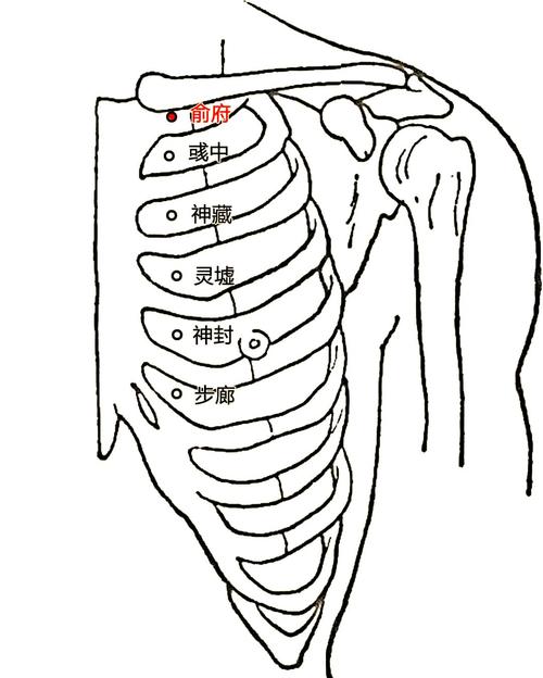 突然气喘按哪个穴位