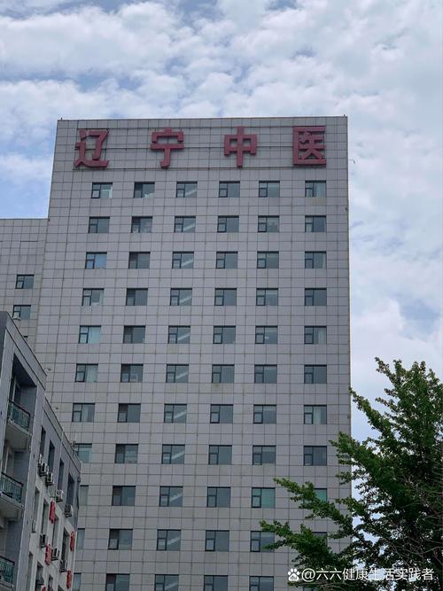 辽宁中医儿科谁看的好