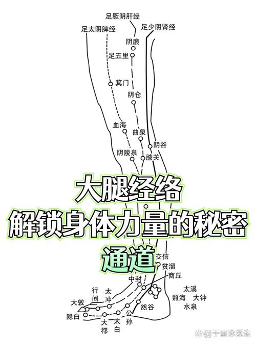 男性腿根部按摩穴位