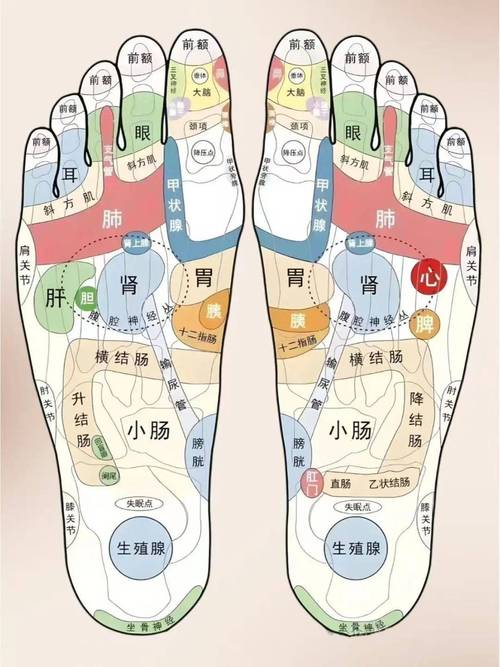 人体足底有几个穴位