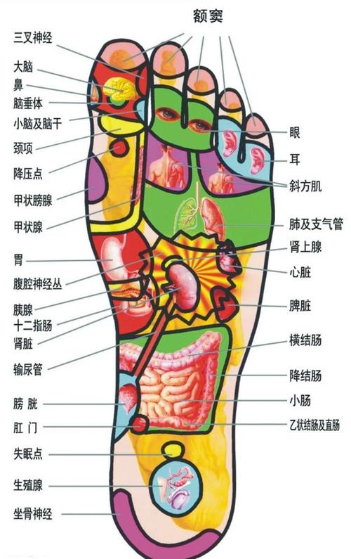人体足底有几个穴位
