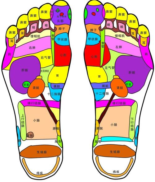 人体足底有几个穴位