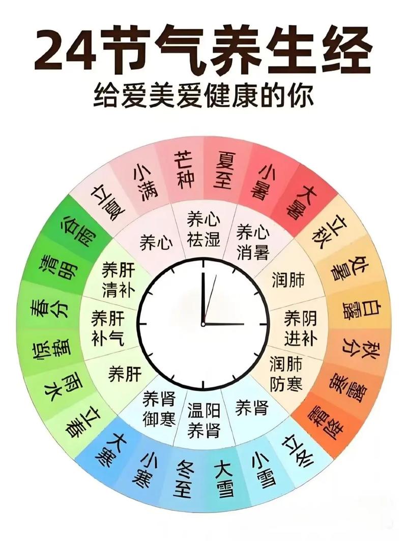 中华健康饮食养生文化