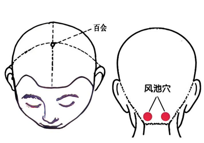 按摩头上哪个穴位图