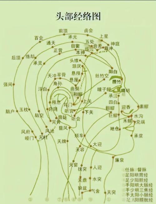 按摩头上哪个穴位图