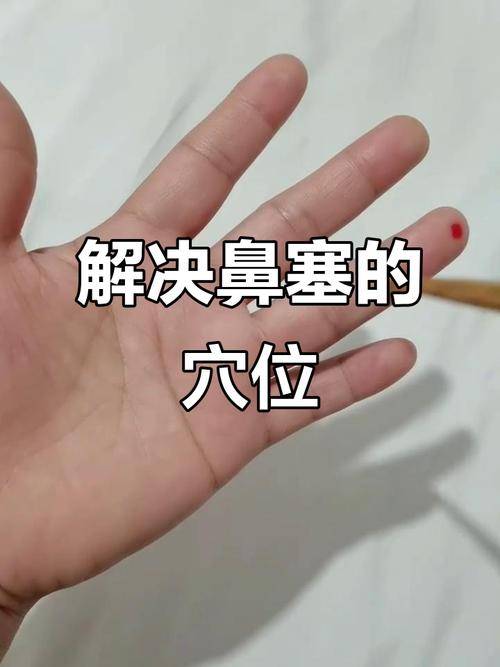 鼻子上都有哪些穴位